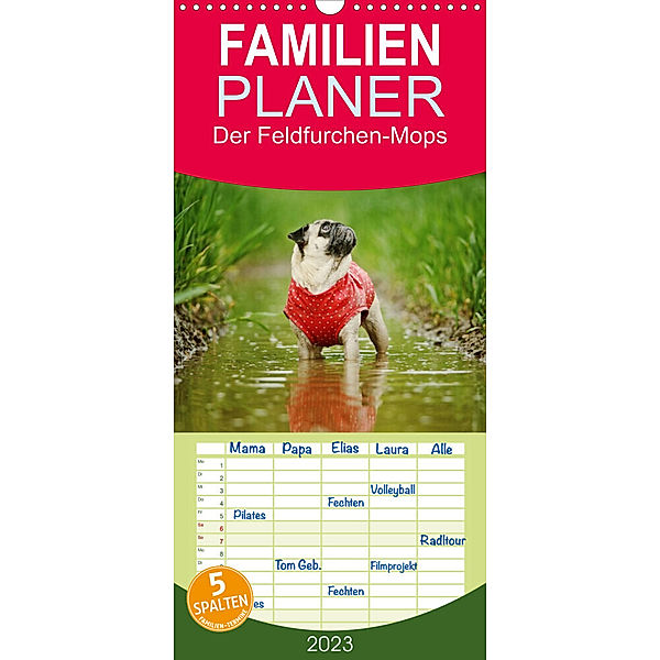 Familienplaner Der Feldfurchen-Mops (Wandkalender 2023 , 21 cm x 45 cm, hoch), Kathrin Köntopp