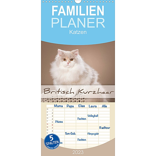 Familienplaner Die Britisch Kurzhaar Katze (Wandkalender 2023 , 21 cm x 45 cm, hoch), Trio Bildarchiv