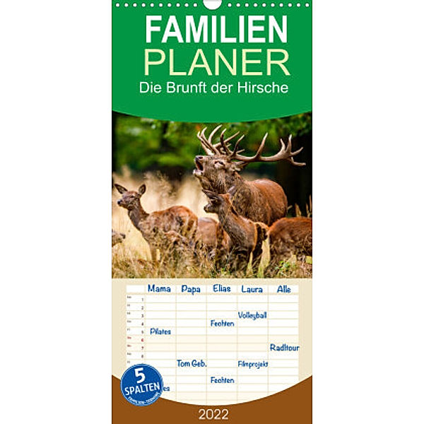 Familienplaner Die Brunft der Hirsche (Wandkalender 2022 , 21 cm x 45 cm, hoch), Roland Brack