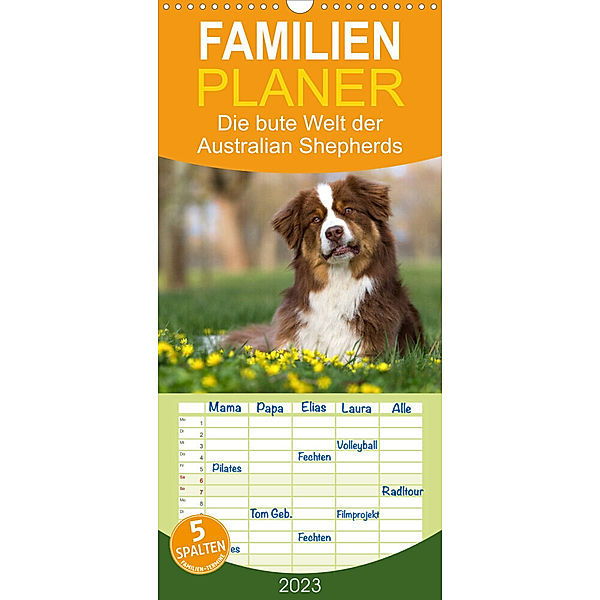 Familienplaner DIE BUNTE WELT DER AUSTRALIAN SHEPHERDS (Wandkalender 2023 , 21 cm x 45 cm, hoch), Annett Mirsberger  tierpfoto