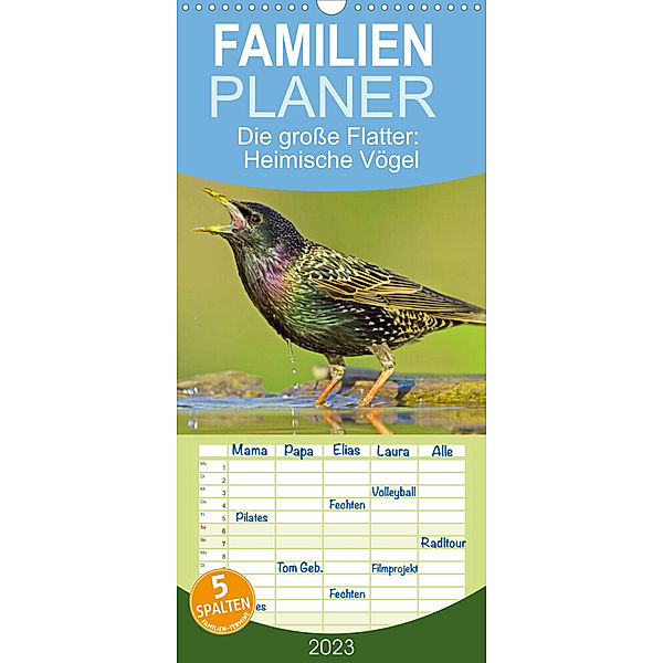 Familienplaner Die große Flatter: Heimische Vögel (Wandkalender 2023 , 21 cm x 45 cm, hoch), Calvendo