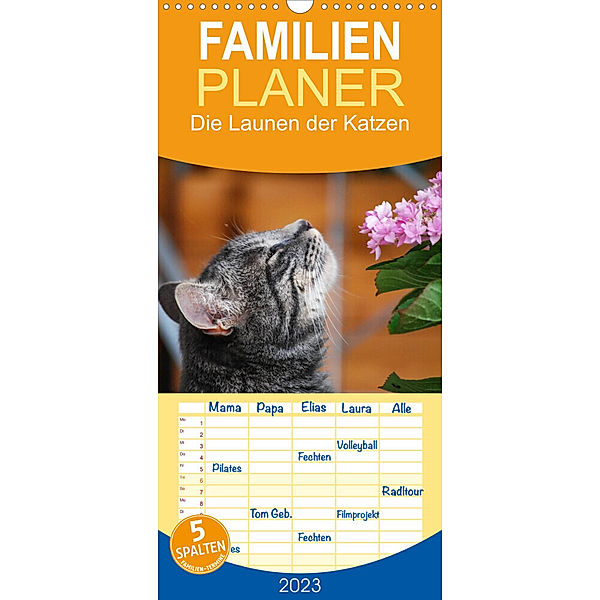 Familienplaner Die Launen der Katzen 2023 (Wandkalender 2023 , 21 cm x 45 cm, hoch), Anna Kropf