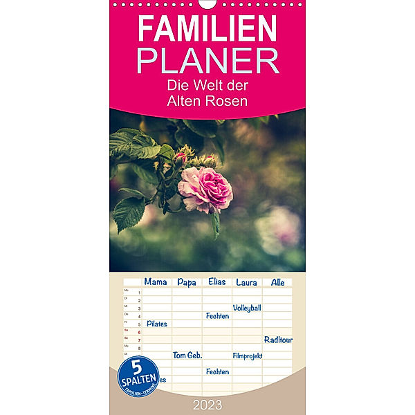 Familienplaner Die Welt der Alten Rosen (Wandkalender 2023 , 21 cm x 45 cm, hoch), Regina Steudte