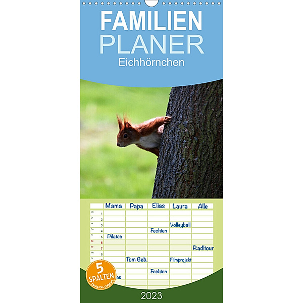Familienplaner Eichhörnchen (Wandkalender 2023 , 21 cm x 45 cm, hoch), Schnellewelten