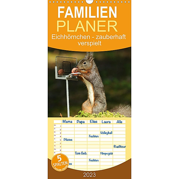 Familienplaner Eichhörnchen - zauberhaft verspielt (Wandkalender 2023 , 21 cm x 45 cm, hoch), Angela Merk