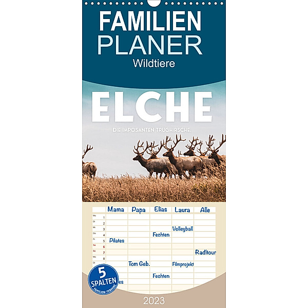 Familienplaner Elche - Die imposanten Trughirsche. (Wandkalender 2023 , 21 cm x 45 cm, hoch), SF