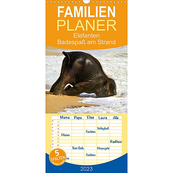 Familienplaner Elefanten. Badespaß am Strand (Wandkalender 2023 , 21 cm x 45 cm, hoch), Elisabeth Stanzer