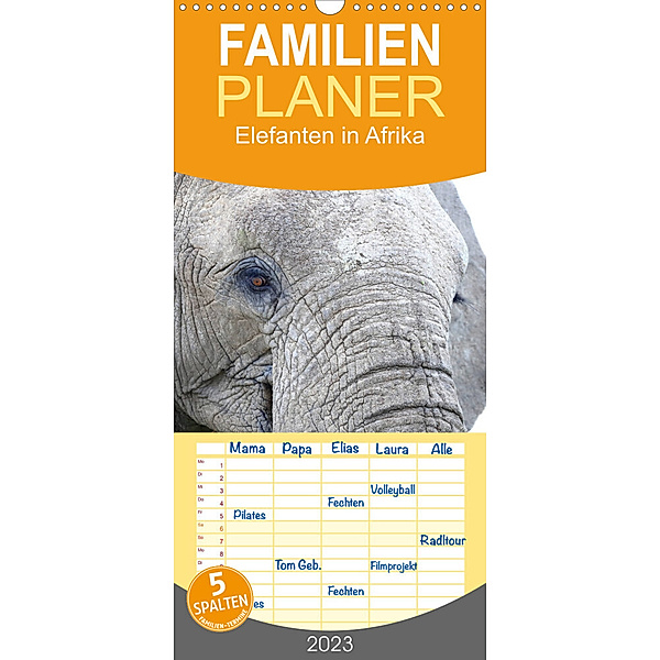 Familienplaner Elefanten in Afrika (Wandkalender 2023 , 21 cm x 45 cm, hoch), Michael Herzog