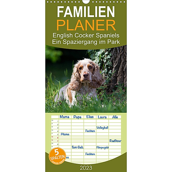 Familienplaner English Cocker Spaniels - Ein Spaziergang im Park (Wandkalender 2023 , 21 cm x 45 cm, hoch), Fotodesign Verena Scholze