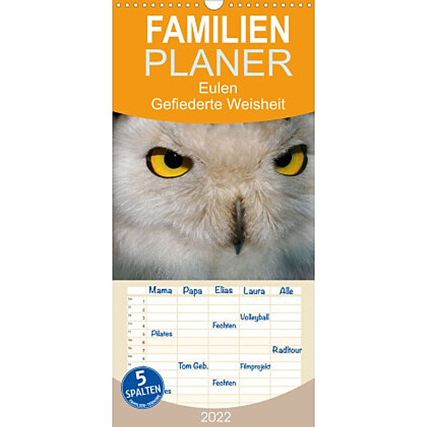 Familienplaner Eulen. Gefiederte Weisheit (Wandkalender 2022 , 21 cm x 45 cm, hoch), Elisabeth Stanzer