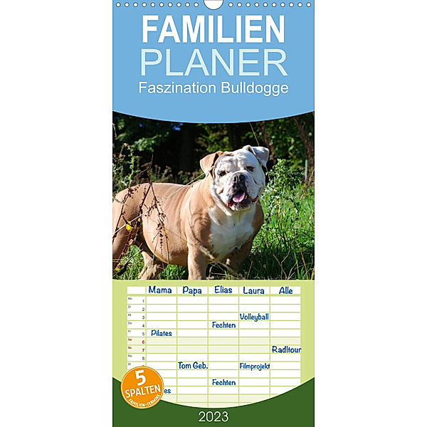 Familienplaner Faszination Bulldogge (Wandkalender 2023 , 21 cm x 45 cm, hoch), Elisabeth Stanzer