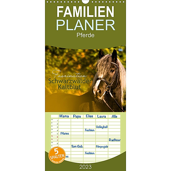 Familienplaner Faszination Schwarzwälder Kaltblut (Wandkalender 2023 , 21 cm x 45 cm, hoch), HomSi-Fotos