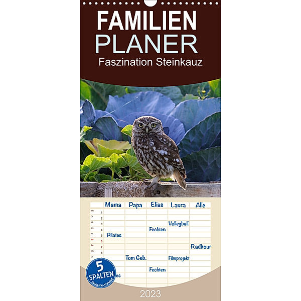 Familienplaner Faszination Steinkauz (Wandkalender 2023 , 21 cm x 45 cm, hoch), Wolfgang Lequen