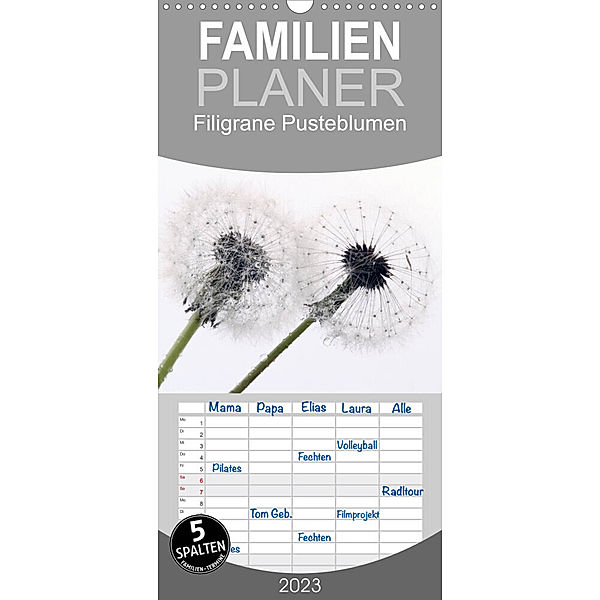 Familienplaner Filigrane Pusteblumen / Geburtstagskalender (Wandkalender 2023 , 21 cm x 45 cm, hoch), Schnellewelten