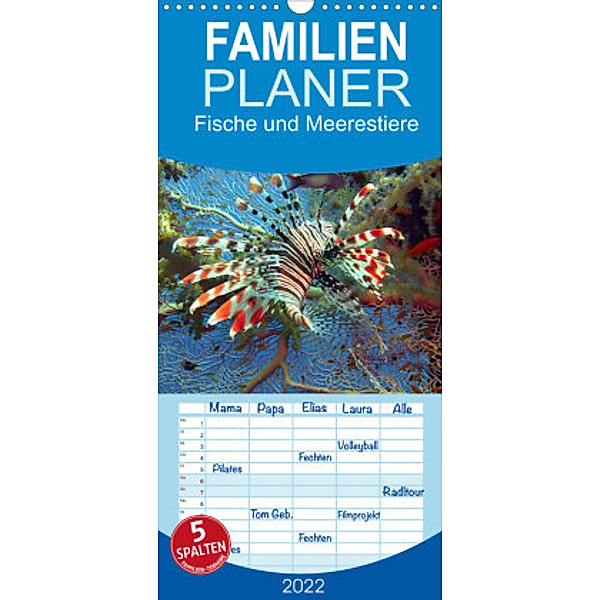 Familienplaner Fische und Meerestiere (Wandkalender 2022 , 21 cm x 45 cm, hoch), Elisabeth Stanzer