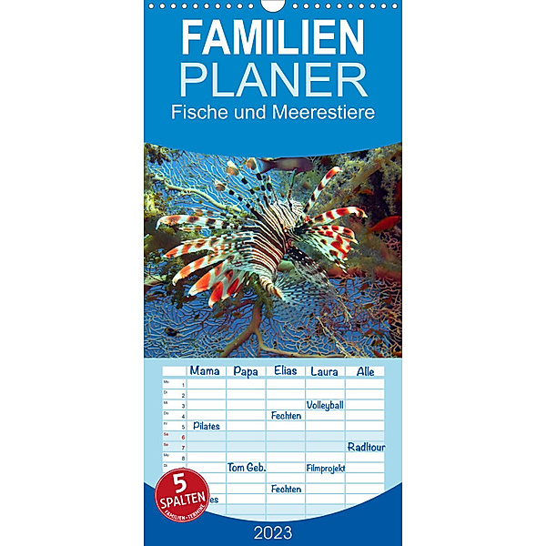 Familienplaner Fische und Meerestiere (Wandkalender 2023 , 21 cm x 45 cm, hoch), Elisabeth Stanzer
