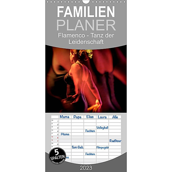 Familienplaner Flamenco - Tanz der Leidenschaft (Wandkalender 2023 , 21 cm x 45 cm, hoch), Brigitte Dürr / Gabi Hampe