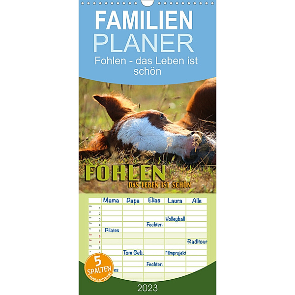 Familienplaner Fohlen - das Leben ist schön (Wandkalender 2023 , 21 cm x 45 cm, hoch), Renate Utz