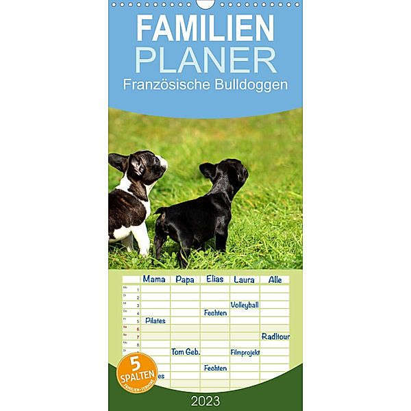 Familienplaner Französische Bulldoggen (Wandkalender 2023 , 21 cm x 45 cm, hoch), Heike Hultsch