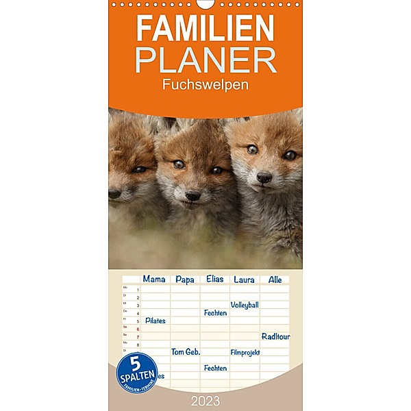 Familienplaner Fuchswelpen (Wandkalender 2023 , 21 cm x 45 cm, hoch), Gabi Marklein