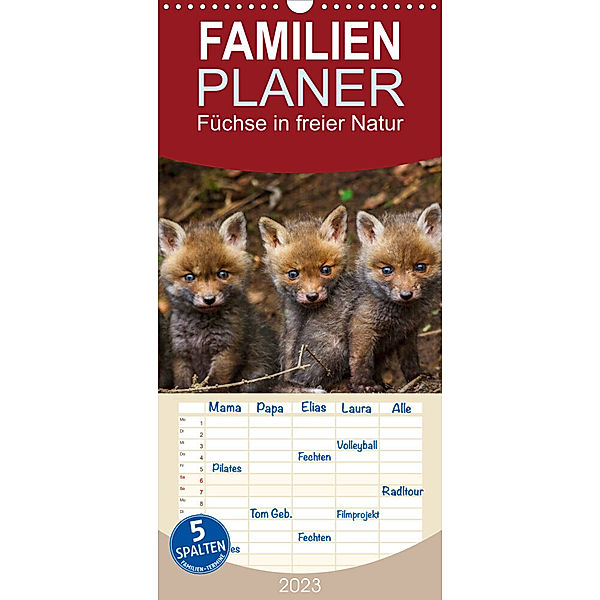 Familienplaner Füchse in freier Natur (Wandkalender 2023 , 21 cm x 45 cm, hoch), Ulrich Hopp