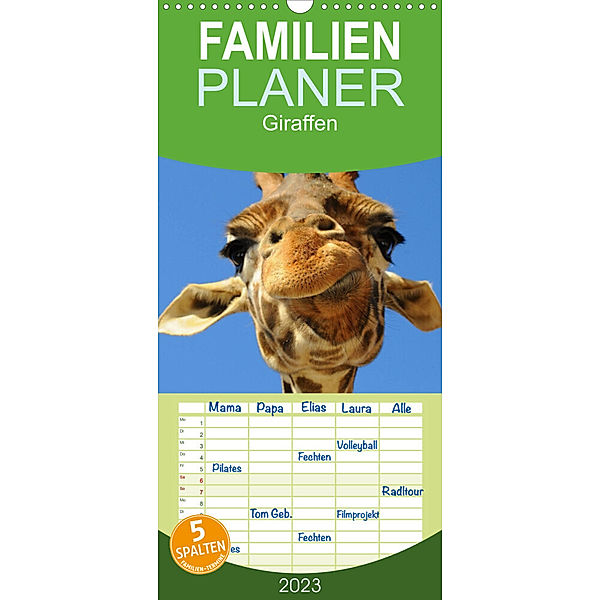 Familienplaner Giraffen (Wandkalender 2023 , 21 cm x 45 cm, hoch), Elisabeth Stanzer