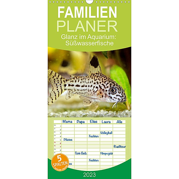 Familienplaner Glanz im Aquarium: Süßwasserfische (Wandkalender 2023 , 21 cm x 45 cm, hoch), Calvendo