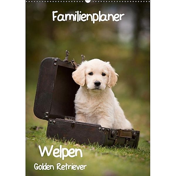 Familienplaner: Golden Retriever Welpen (Wandkalender 2019 DIN A2 hoch), Anna Auerbach
