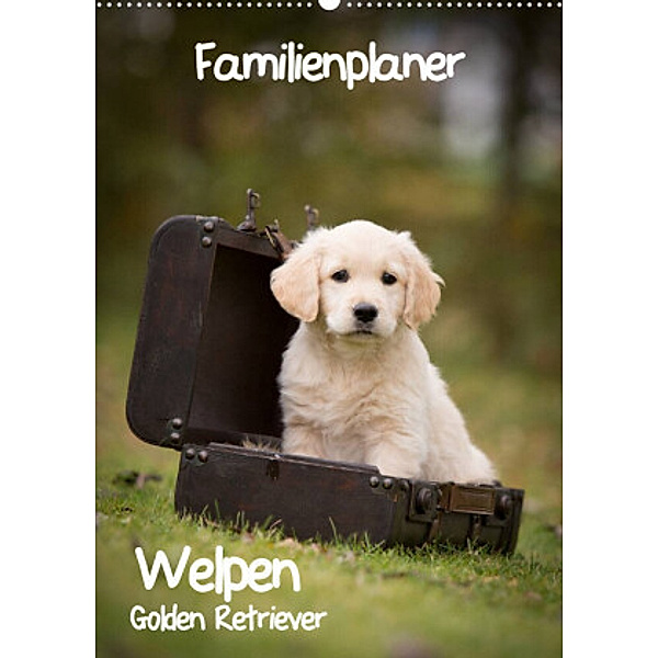 Familienplaner: Golden Retriever Welpen (Wandkalender 2022 DIN A2 hoch), Anna Auerbach
