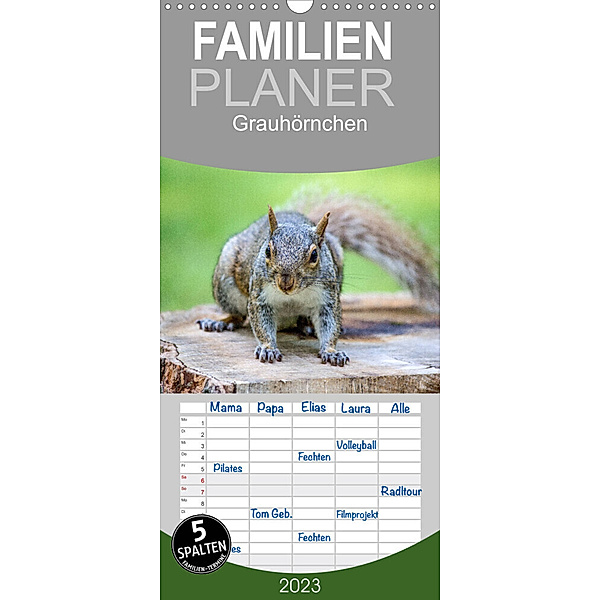 Familienplaner Grauhörnchen-Die nordamerikanischen Eichhörnchen (Wandkalender 2023 , 21 cm x 45 cm, hoch), pixs:sell@fotolia, pixs:sell@Adobe Stock