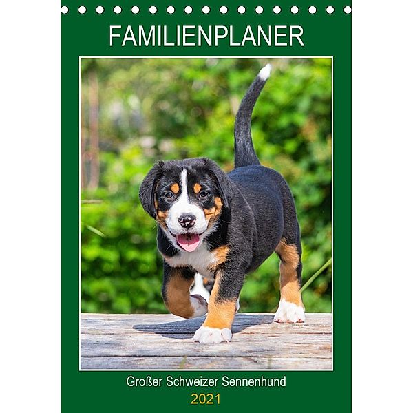 Familienplaner Großer Schweizer Sennenhund (Tischkalender 2021 DIN A5 hoch), Sigrid Starick