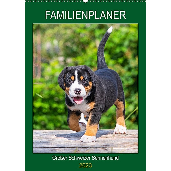 Familienplaner Großer Schweizer Sennenhund (Wandkalender 2023 DIN A2 hoch), Sigrid Starick
