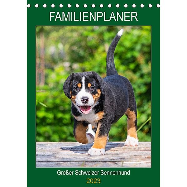 Familienplaner Großer Schweizer Sennenhund (Tischkalender 2023 DIN A5 hoch), Sigrid Starick