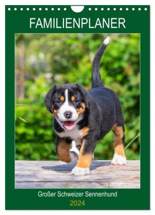 DIN　kaufen　Familienplaner　Monatskalender　Sennenhund　CALVENDO　A4　Orbisana　Großer　2024　Schweizer　Wandkalender　hoch,　online
