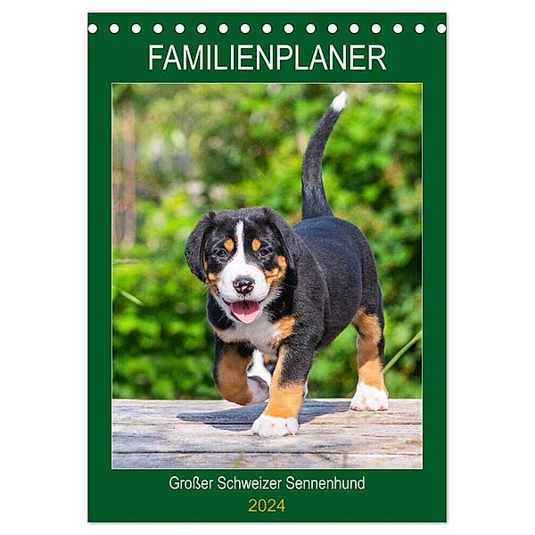 Familienplaner Großer Schweizer Sennenhund (Tischkalender 2024 DIN A5 hoch), CALVENDO Monatskalender, Sigrid Starick