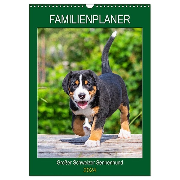 Familienplaner Großer Schweizer Sennenhund (Wandkalender 2024 DIN A3 hoch), CALVENDO Monatskalender, Sigrid Starick