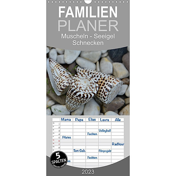 Familienplaner Häuser der Meere:  Muscheln - Seeigel - Schnecken (Wandkalender 2023 , 21 cm x 45 cm, hoch), Renate Grobelny