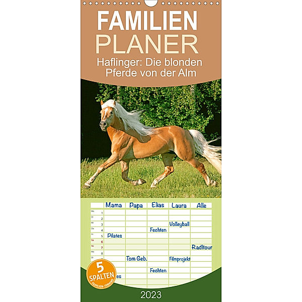 Familienplaner Haflinger: Die blonden Pferde von der Alm (Wandkalender 2023 , 21 cm x 45 cm, hoch), Calvendo