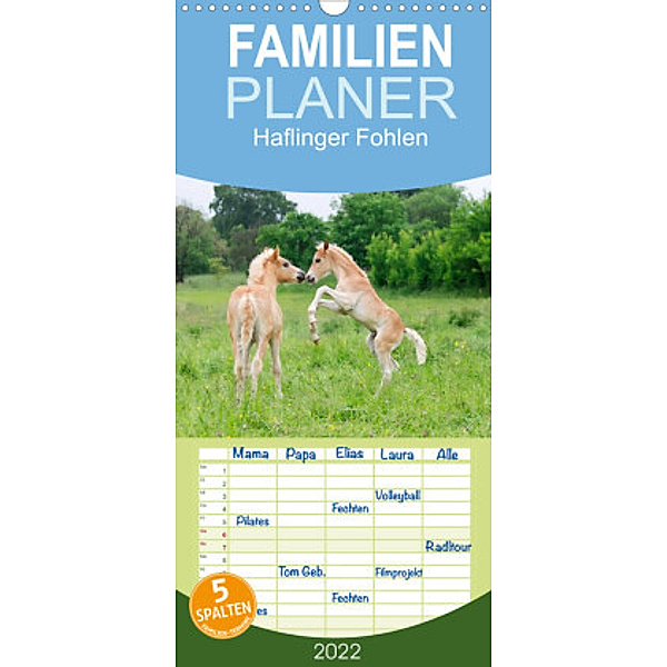 Familienplaner Haflinger Fohlen (Wandkalender 2022 , 21 cm x 45 cm, hoch), Katho Menden