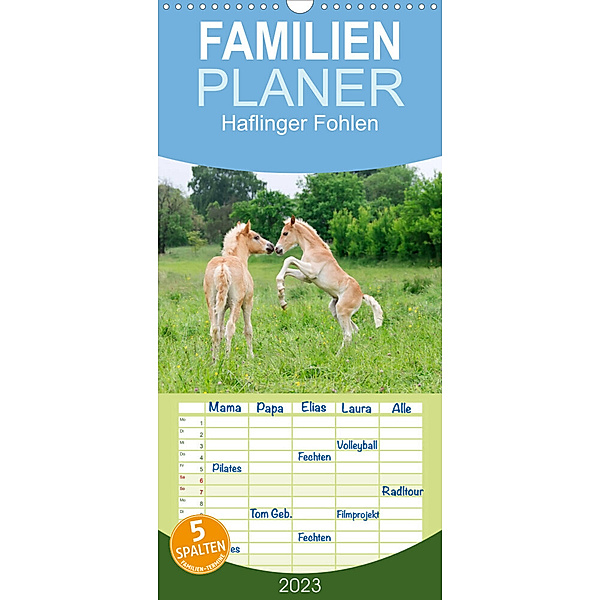 Familienplaner Haflinger Fohlen (Wandkalender 2023 , 21 cm x 45 cm, hoch), Katho Menden