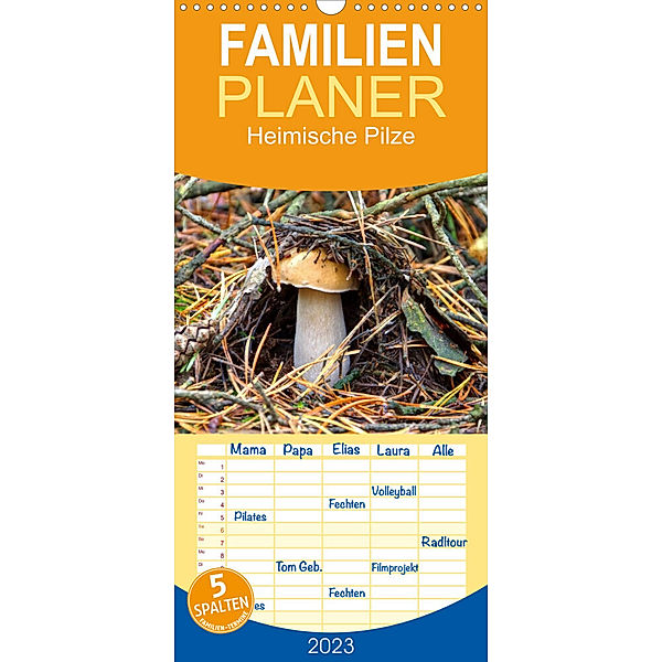 Familienplaner Heimische Pilze (Wandkalender 2023 , 21 cm x 45 cm, hoch), LianeM