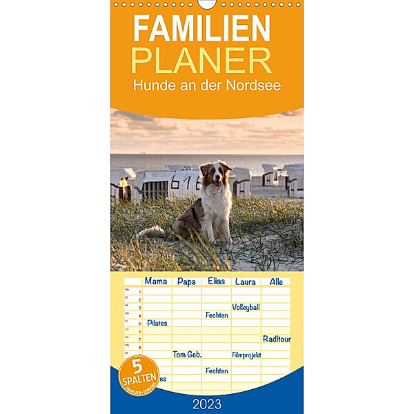Familienplaner Hunde an der Nordsee (Wandkalender 2023 , 21 cm x 45 cm, hoch), Heidi Bollich