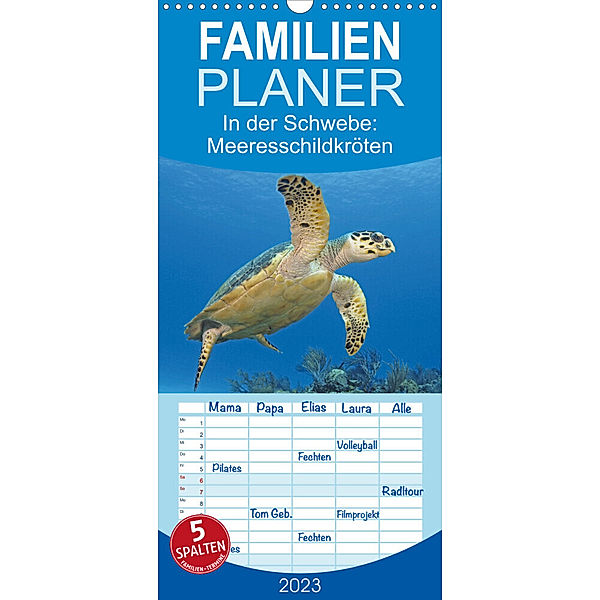 Familienplaner In der Schwebe: Meeresschildkröten (Wandkalender 2023 , 21 cm x 45 cm, hoch), Calvendo