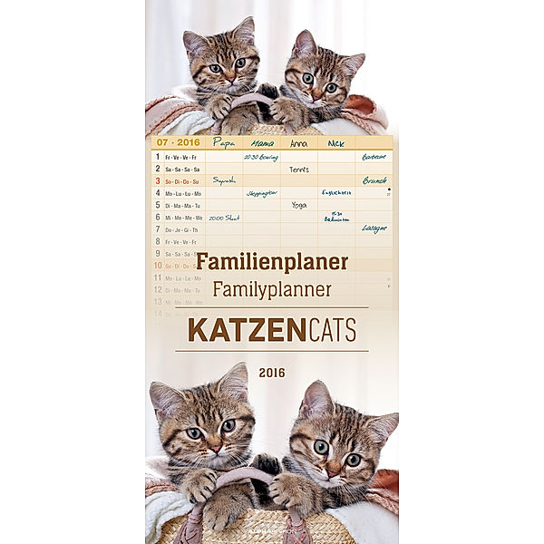 Familienplaner Katzen 2016. Familyplanner Cats