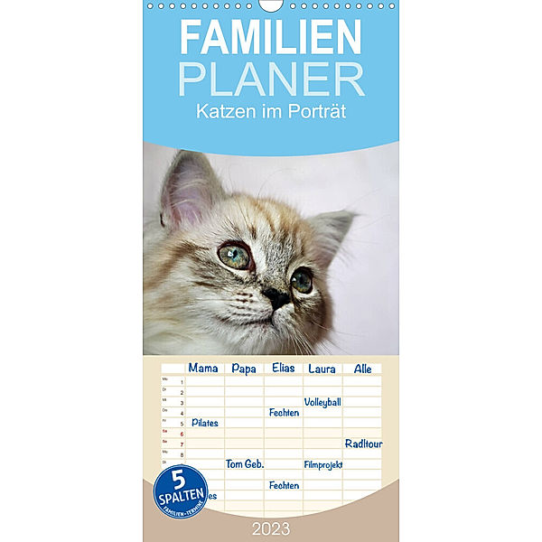 Familienplaner Katzen im Porträt / Geburtstagskalender (Wandkalender 2023 , 21 cm x 45 cm, hoch), Jennifer Chrystal