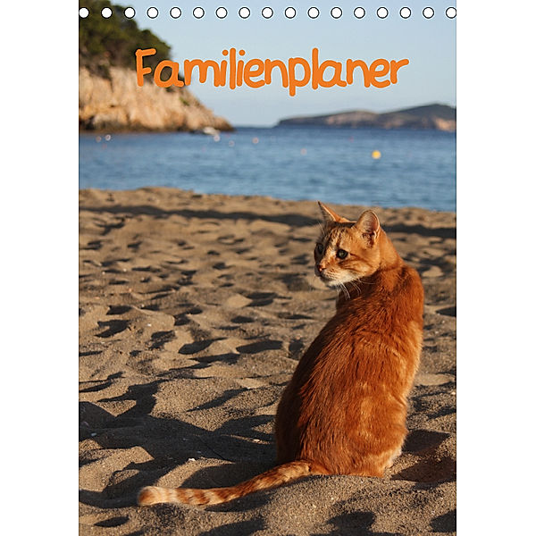 Familienplaner Katzen (Tischkalender 2019 DIN A5 hoch), Antje Lindert-Rottke