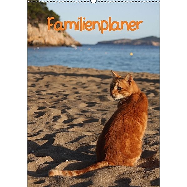 Familienplaner Katzen (Wandkalender 2014 DIN A2 hoch), Antje Lindert-Rottke