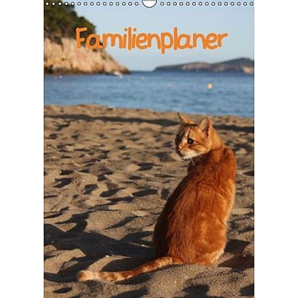 Familienplaner Katzen (Wandkalender 2015 DIN A3 hoch), Antje Lindert-Rottke