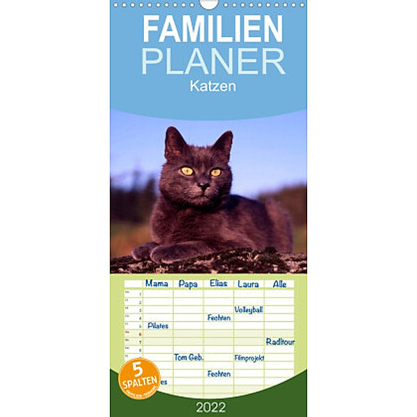 Familienplaner Katzen (Wandkalender 2022 , 21 cm x 45 cm, hoch), McPHOTO