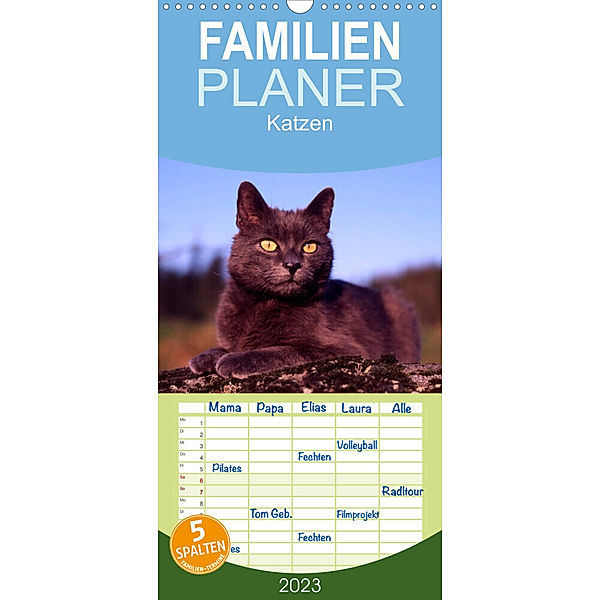 Familienplaner Katzen (Wandkalender 2023 , 21 cm x 45 cm, hoch), McPHOTO